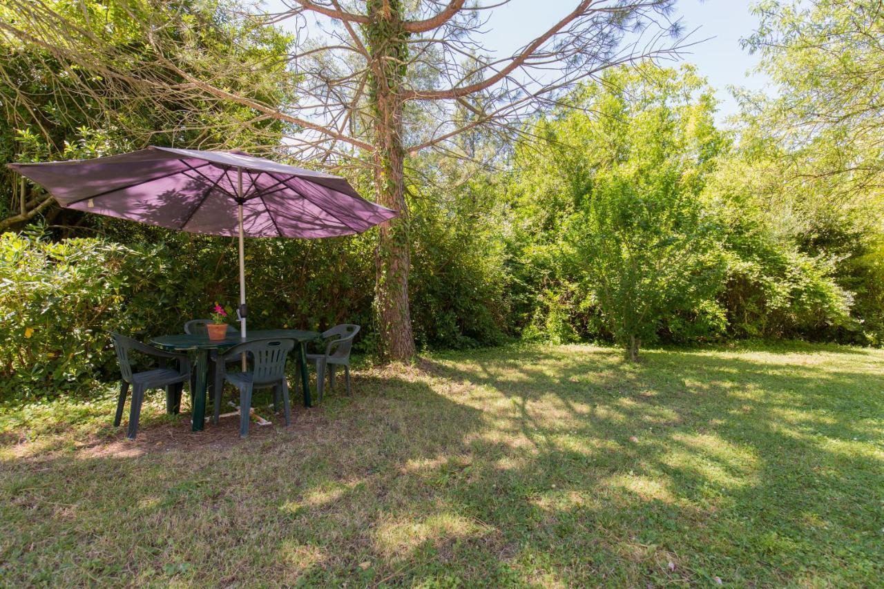 Agriturismo L'Esinante Cupramontana المظهر الخارجي الصورة