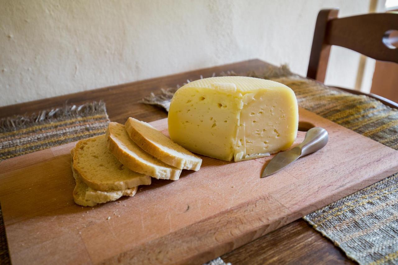 Agriturismo L'Esinante Cupramontana المظهر الخارجي الصورة